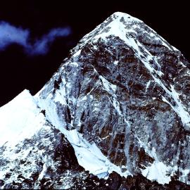 The Passing of Courage: An Homage to E.O. Wilson and Thomas Lovejoy